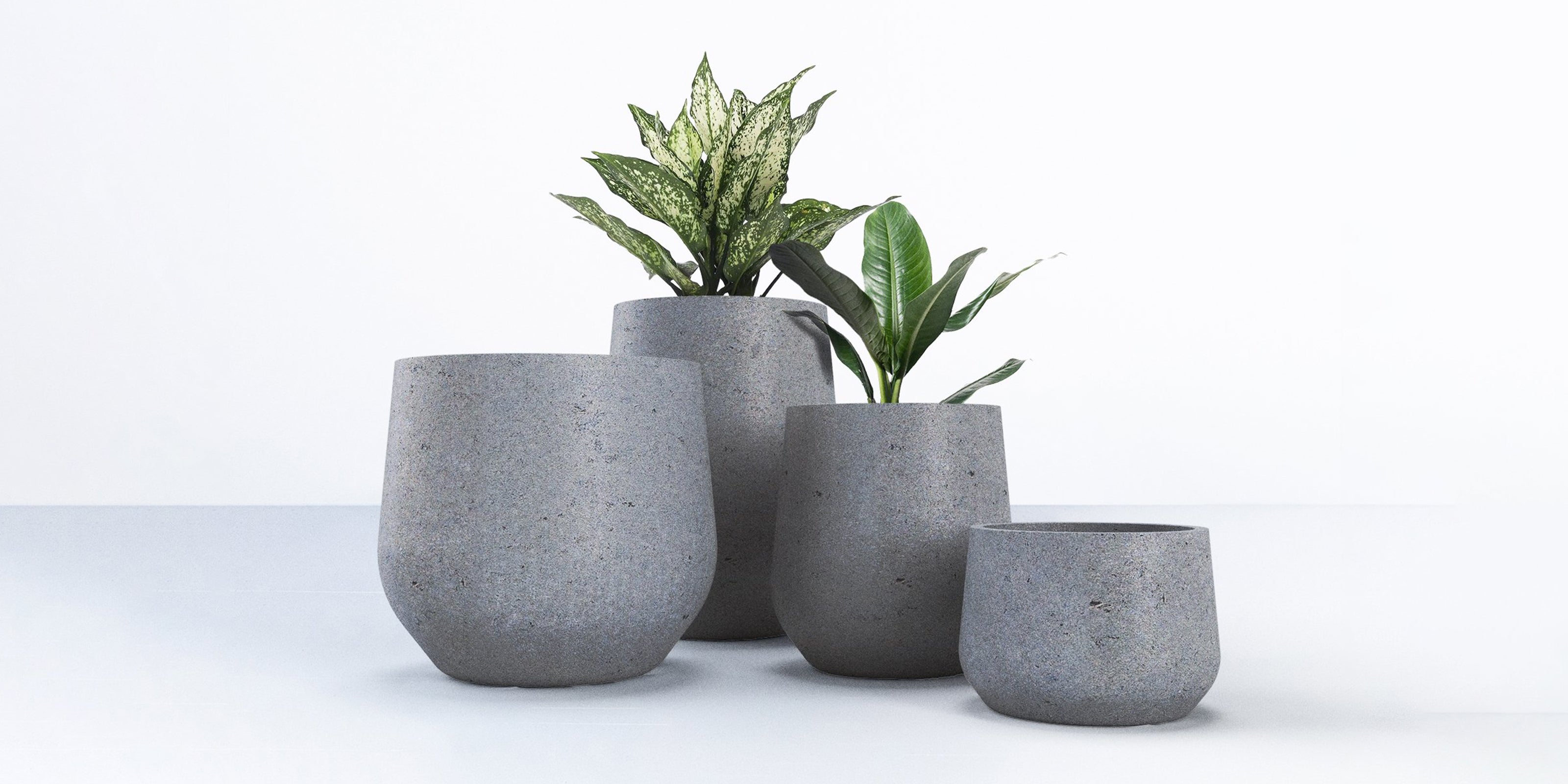 Concrete Planters