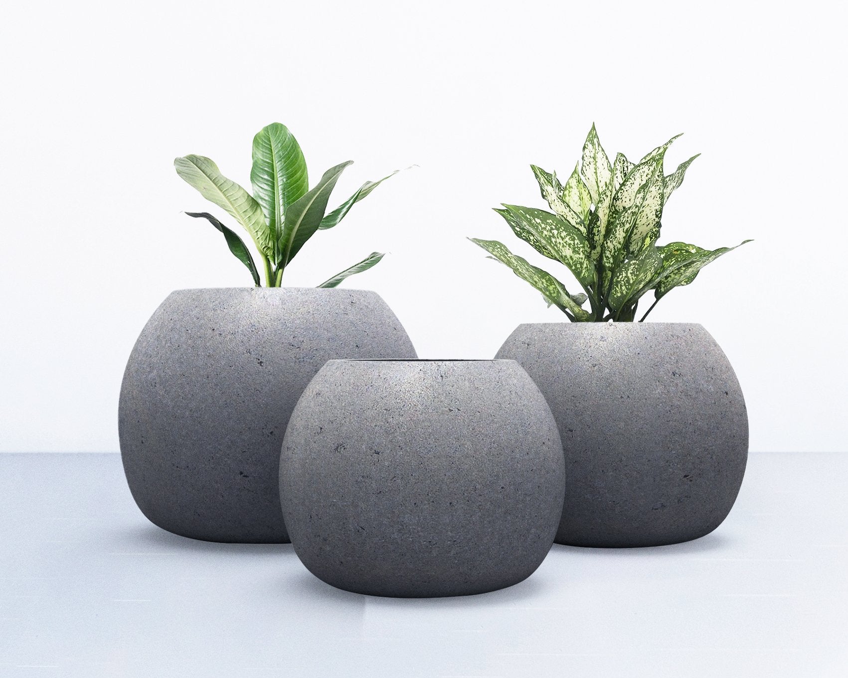 Pompeii Planter