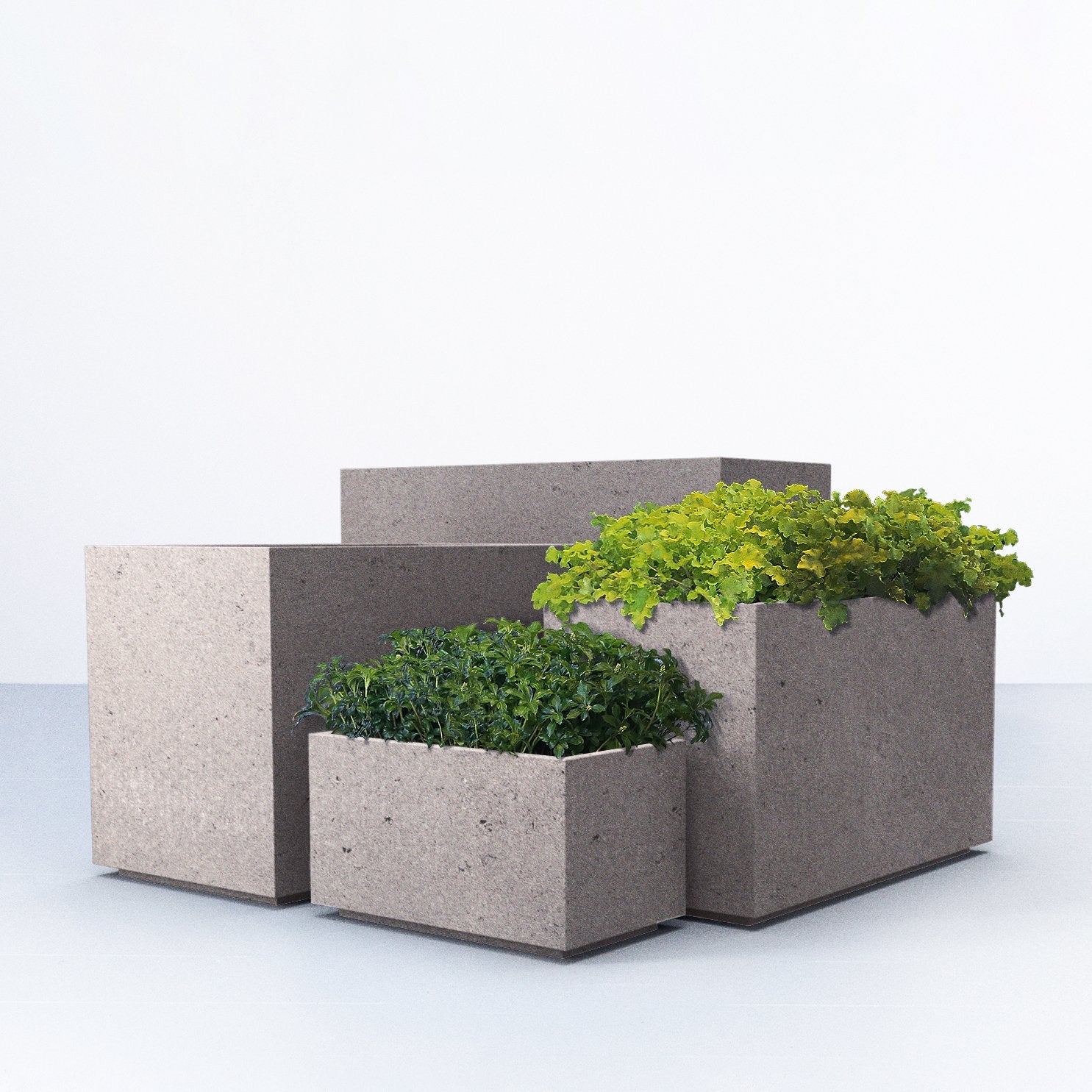 Four concrete planters with white background